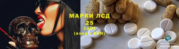 ГАЛЛЮЦИНОГЕННЫЕ ГРИБЫ Михайловка