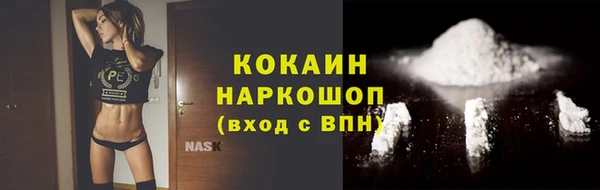 твердый Михайлов