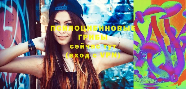 твердый Михайлов