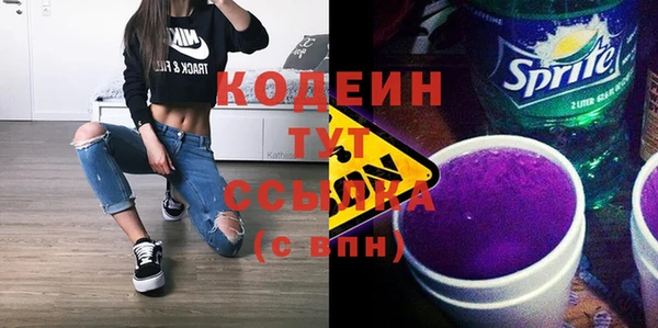 твердый Михайлов