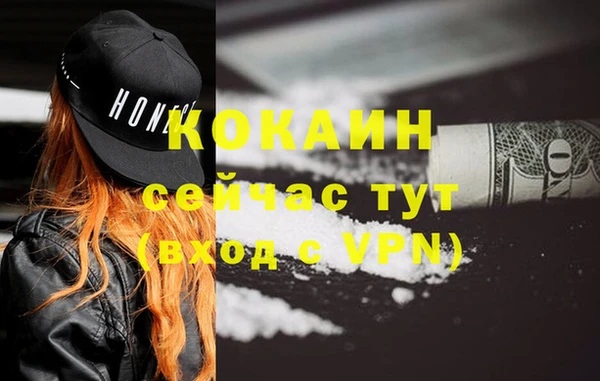 твердый Михайлов