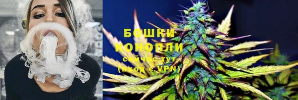 ГАЛЛЮЦИНОГЕННЫЕ ГРИБЫ Михайловка
