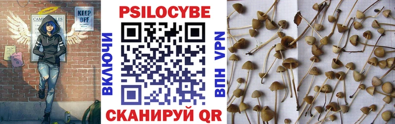 Купить  Добрянка  Псилоцибиновые грибы GOLDEN TEACHER 